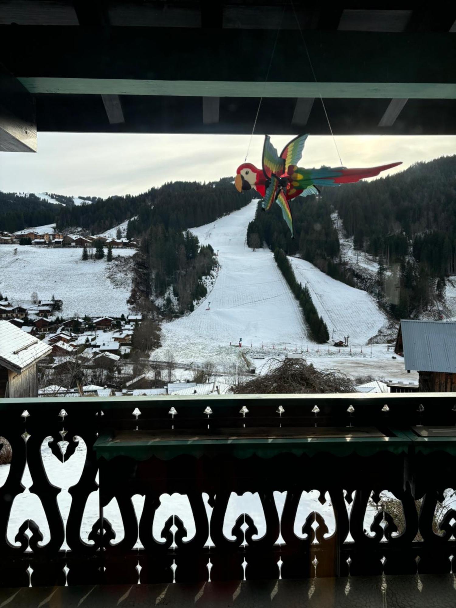 Chalet Fleur Des Alpes Les Gets Ngoại thất bức ảnh
